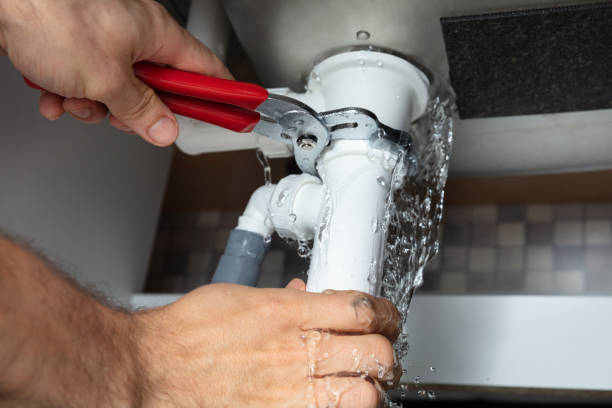 Best Professional water damage repair  in Lapeer, MI