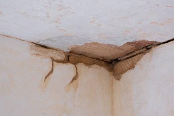 Best Ceiling water damage repair  in Lapeer, MI