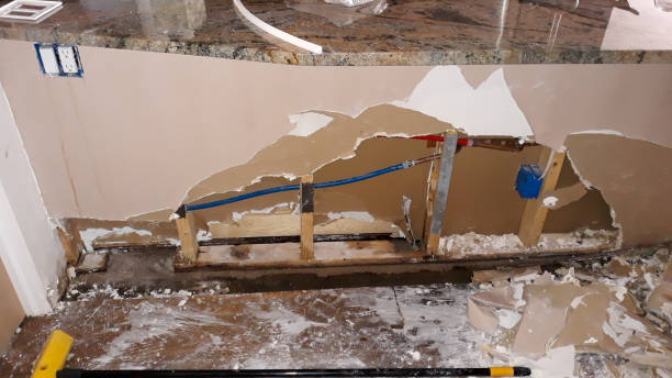 Best 24-hour water damage restoration  in Lapeer, MI