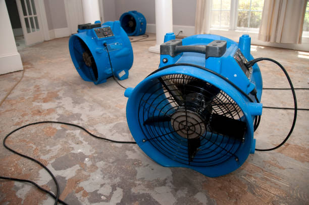 Best Local water damage restoration  in Lapeer, MI