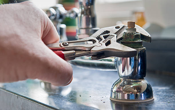 Best Ceiling water damage repair  in Lapeer, MI