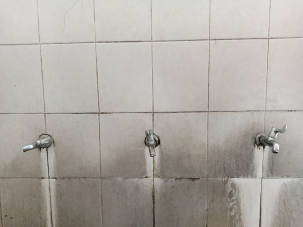 Best Sewage cleanup and water damage restoration  in Lapeer, MI