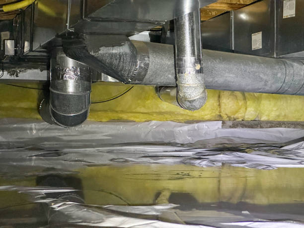 Best Emergency water damage restoration  in Lapeer, MI