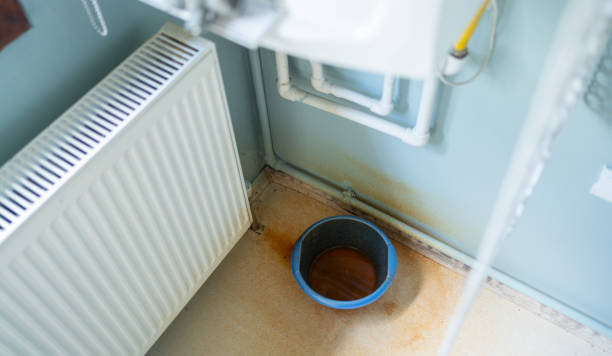 Best Water damage restoration process  in Lapeer, MI