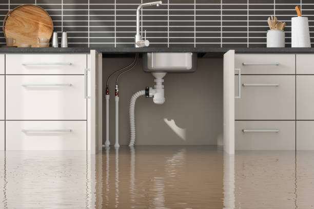 Best Flood restoration services  in Lapeer, MI