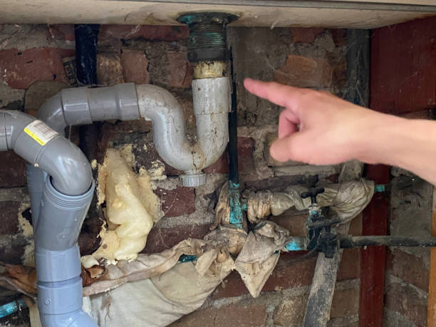 Best Fire Damage Restoration  in Lapeer, MI