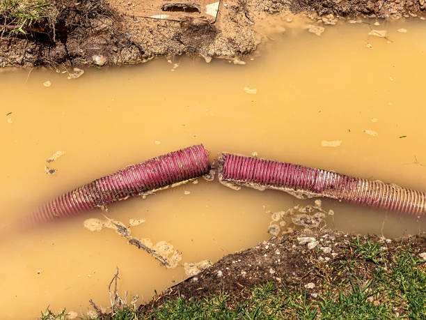 Best Mold removal after water damage  in Lapeer, MI